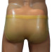 Translucent briefs